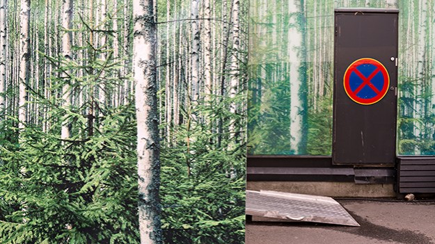 2014-06-24-forest-in-the-city-2382_LR