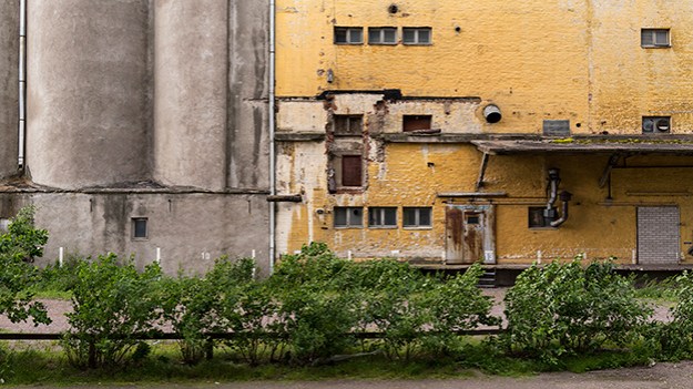 2014-07-02-grey-and-yellow-043