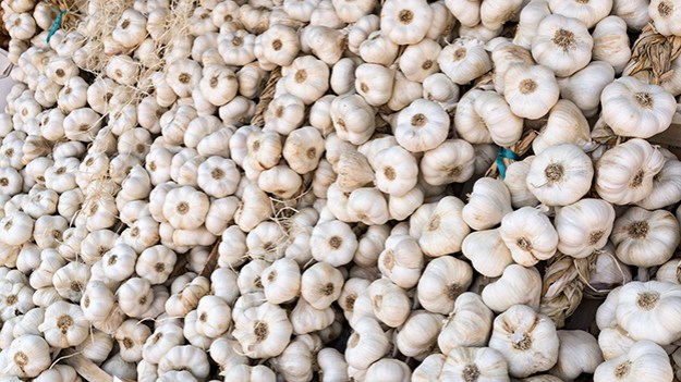 2014-08-07-garlic-033