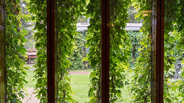 2014-08-31-view-from-the-window-005