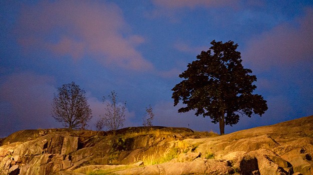 2014-09-26-temple-square-031