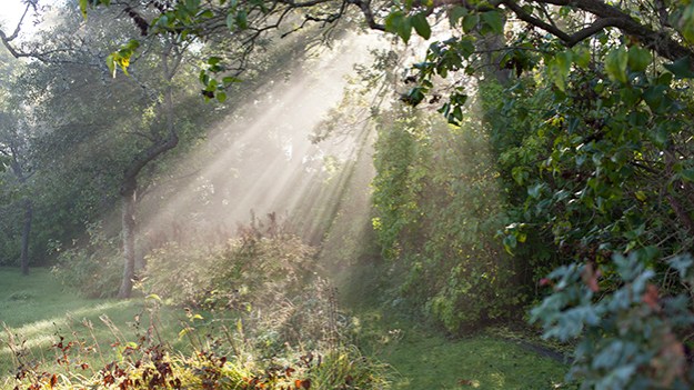 2014-10-01_misty-morning-0041