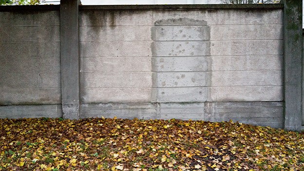 2014-10-14-fence-027