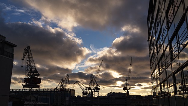 2014-10-23-cranes-028