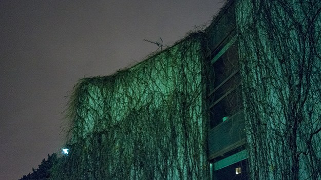 2014-10-27-wall-without-leaves-008