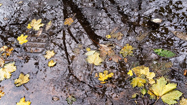 2014-11-04-autumn-012