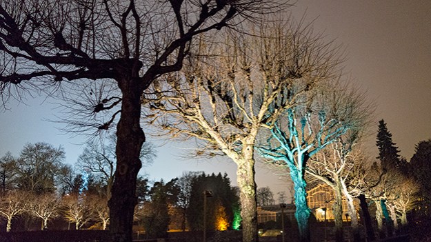 2014-11-09-winter-garden-037