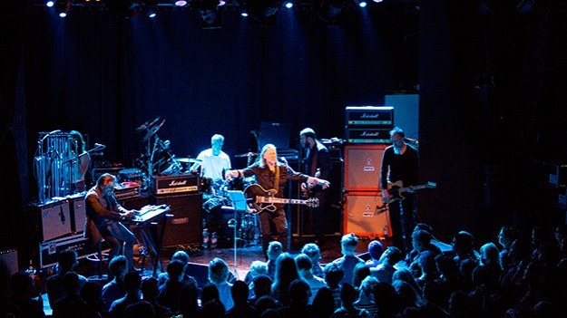 2014-11-26-swans-016