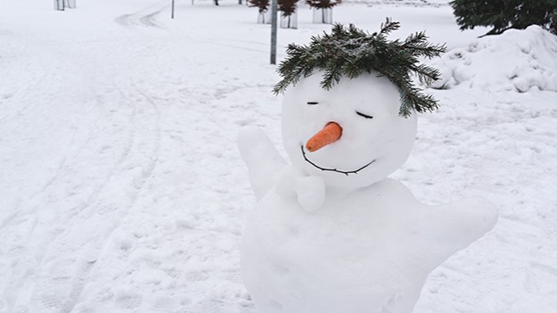 2015-02-01-snowman-008