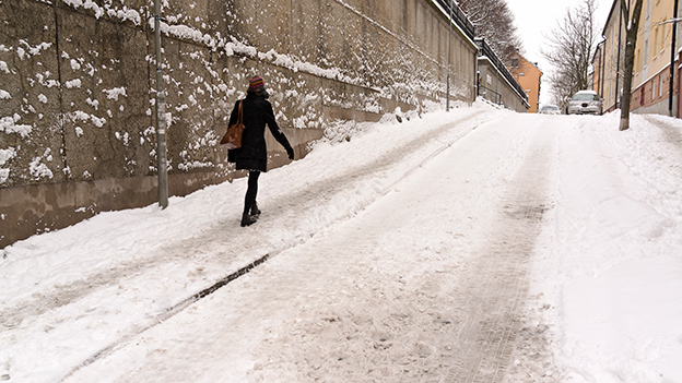 2015-02-03-snowy-street-026