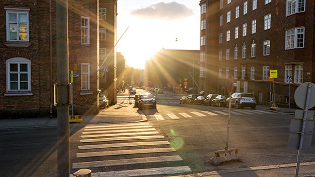 2015-03-21-late-afternoon-018