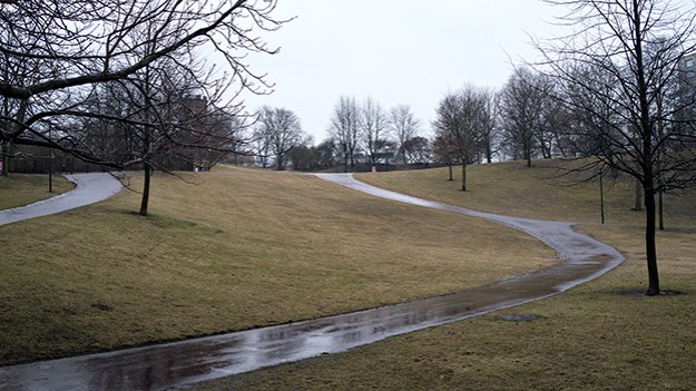 2015-03-27-park-in-the-rain.019