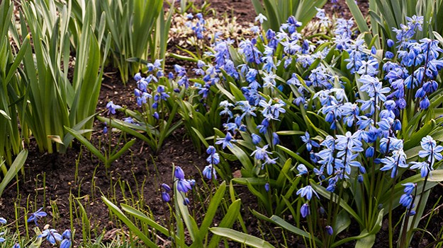 2015-04-28-springtime-029