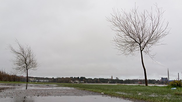 2015-05-02-two-trees-without-leaves-032