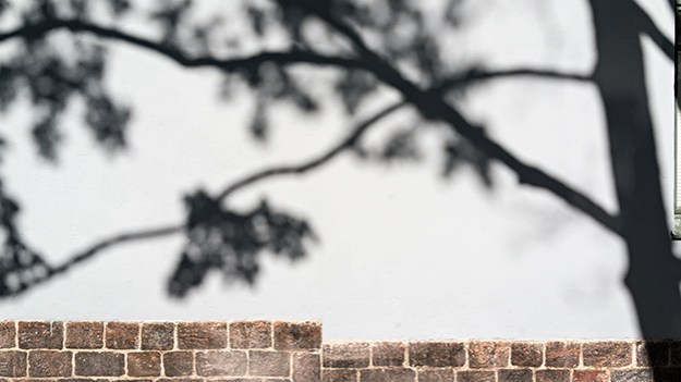 2015-05-28-shadow-of-the-tree-on-the-wall-049