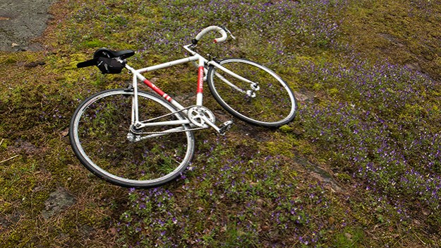2015-06-06-bicycle-and-flowers-014