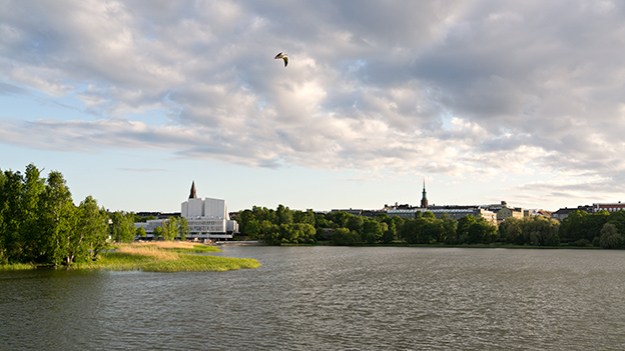 2015-06-07-toolo-bay-006