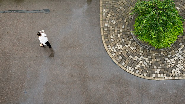 2015-07-09-in-the-courtyard-part-two-007