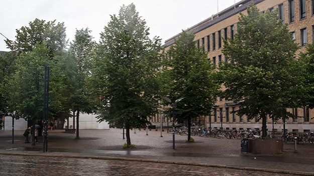 2015-07-30-wet-trees-035