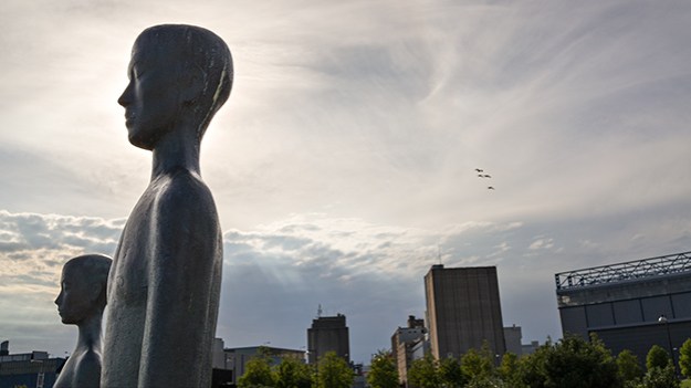 2015-08-05-bliss-of-evening-light-015