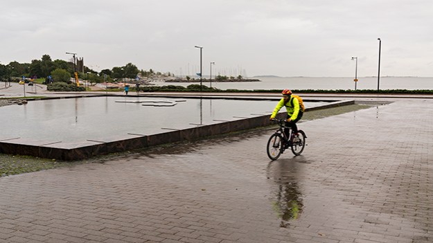 2015-09-07-yellow-jacket-041