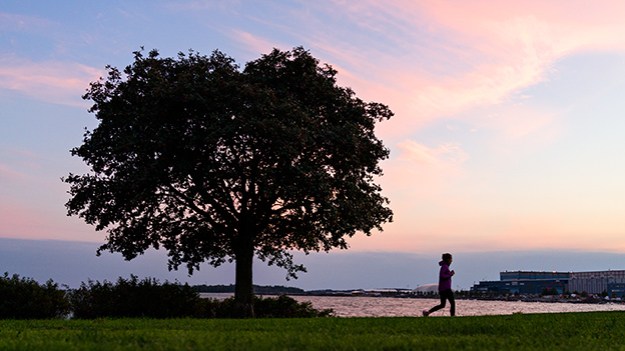 2015-09-23-jogger-and-a-tree-part-two-028