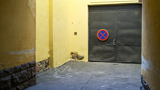 2015-10-14-backyard-025