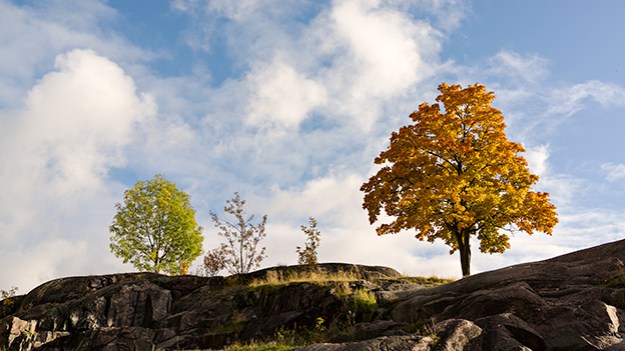 2015-10-19-temple-square-part-five-001