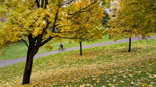 2015-10-22-park-in-autumn-019