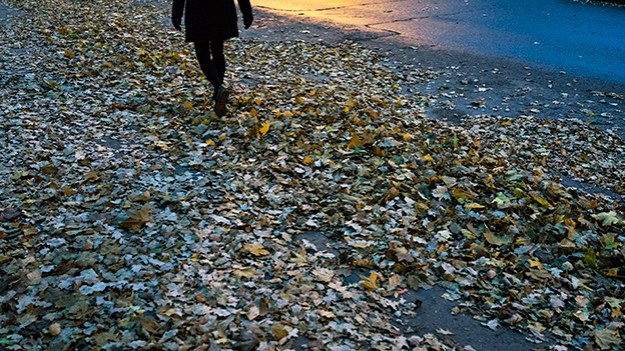 2015-10-31-walking-through-the-leaves-066