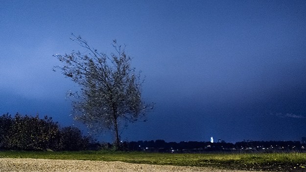 2015-11-01-tree-in-the-evening-066