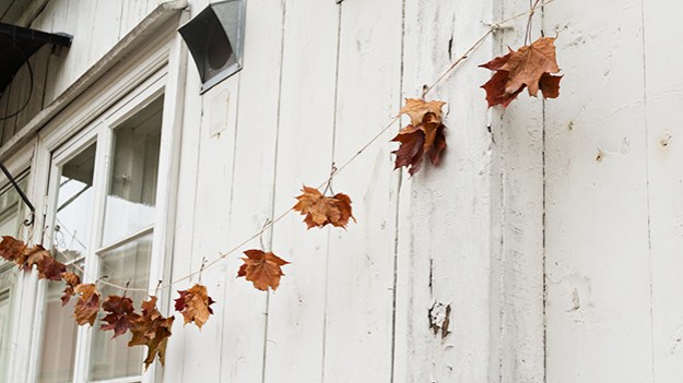 2015-11-08-autumn-decorations-017