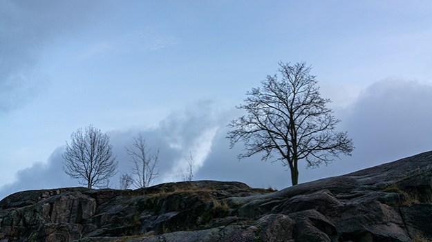 2015-12-12-temple-square-part-six-038