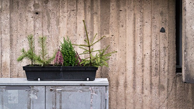 2015-12-18-decoration-012