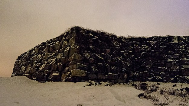 2016-01-08-wall-and-rabbits-011