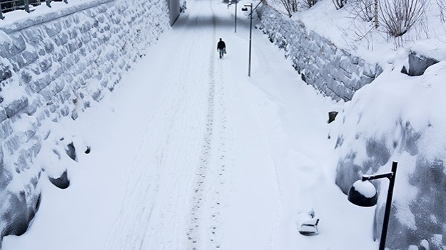 2016-01-24-trail-in-the-baana-099