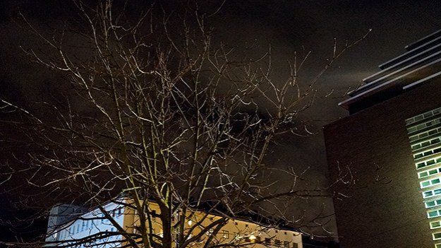 2016-02-02-lit-tree-025