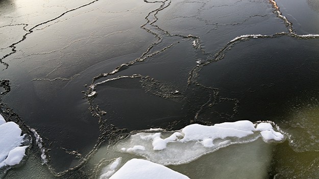 2016-02-04-fragility-064