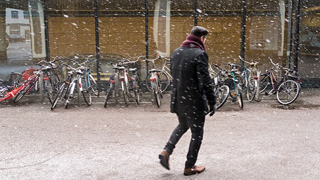 2016-02-08-snowing-part-two-003