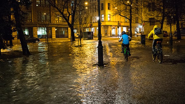 2016-02-09-cycling-in-the-park-028