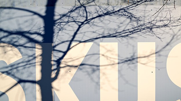 2016-02-13-shadow-of-the-tree-012