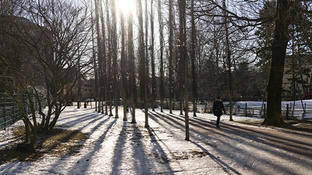 2016-02-17-winter-light-028