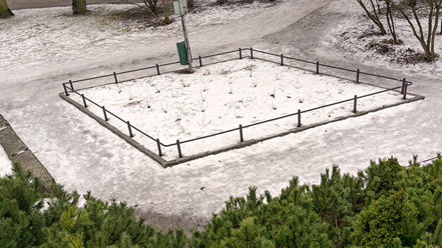 2016-02-19-fenced-square-008