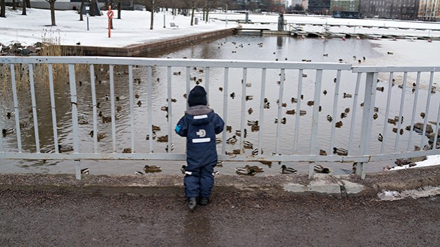 2016-02-26-bird-watching-030