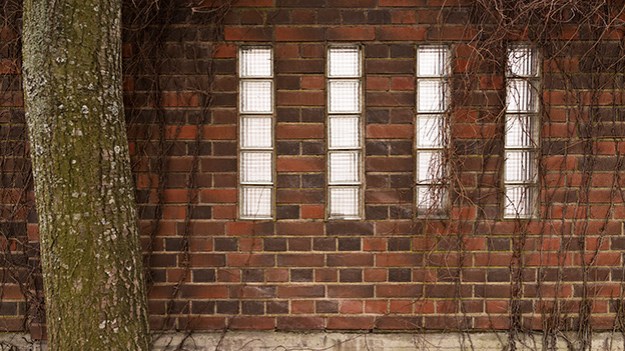 2016-03-04-four-windows-078