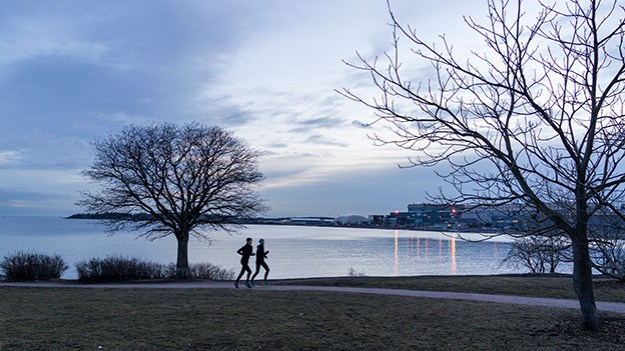 2016-03-14-two-joggers-035