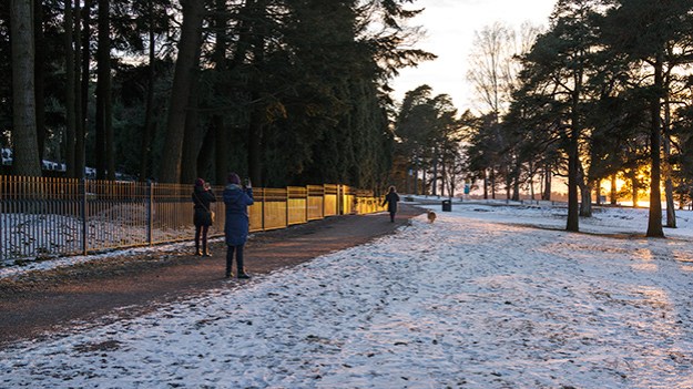 2016-03-19-sunset-006