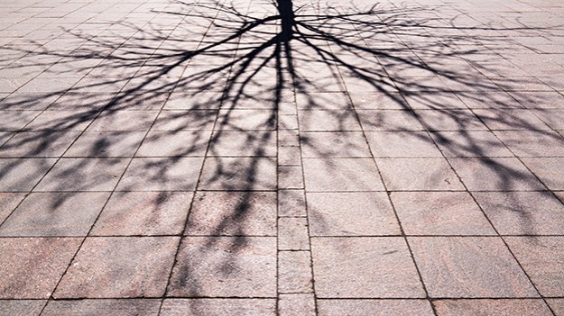 2016-04-12-a-shadow-of-the-tree-part-two-004