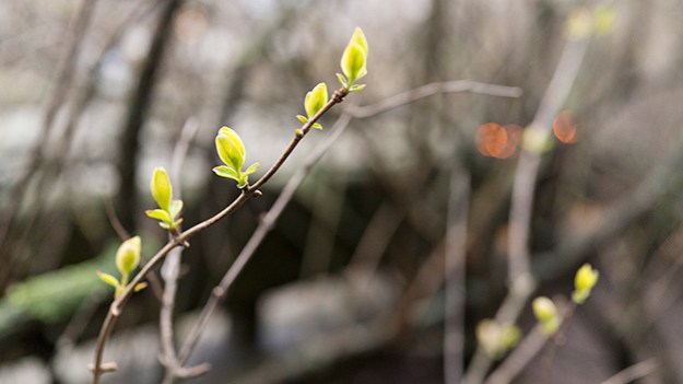 2016-04-22-springtime-part-two-013