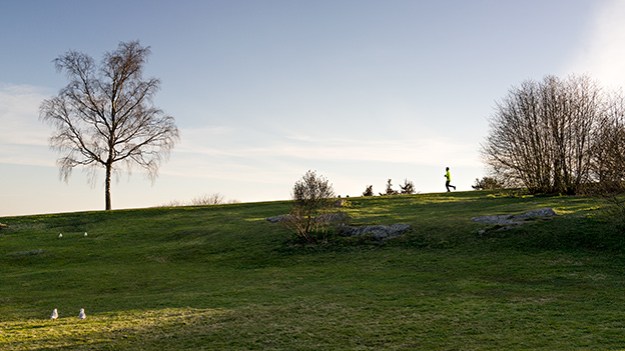 2016-05-03-jogger-with-yellow-shirt-033